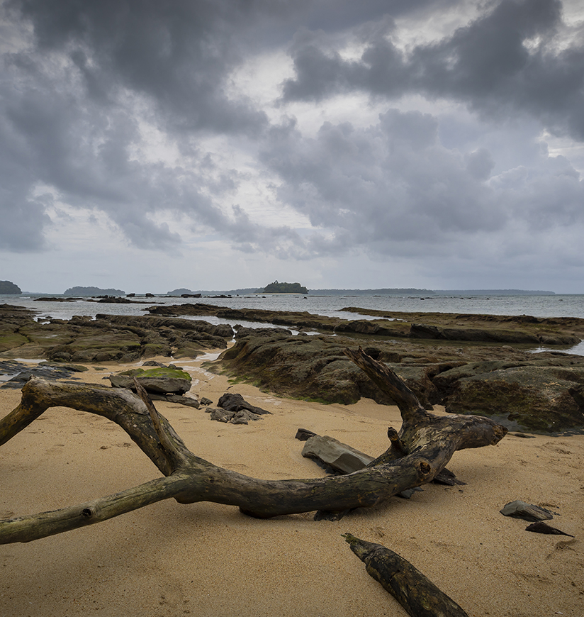 Port Blair, Havelock & Neil Island Tour - 6D/5N South India Tour