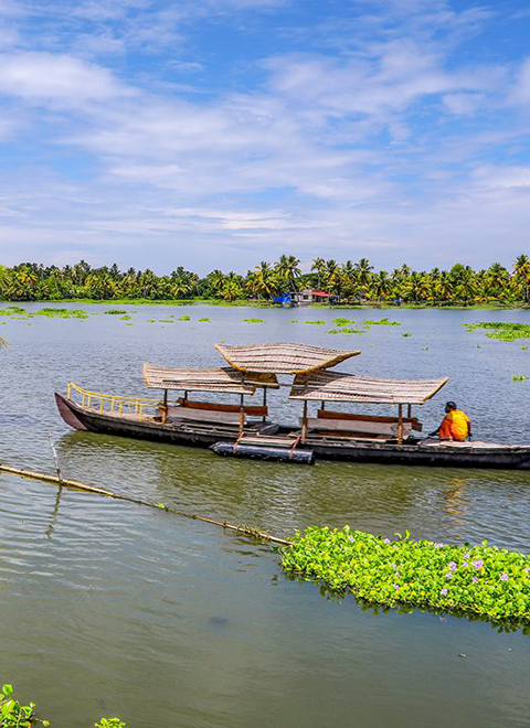 Kerala Hills, Backwaters and Beach Tour - 8D/7N South India Tour