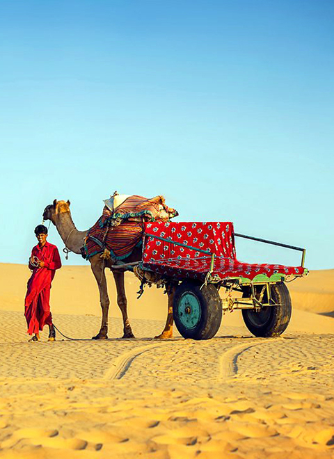Rajasthan Fort and Places Tour - 6D/5N West India Tour